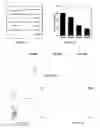 Fig. 05 - Cellular micromotors and uses thereof