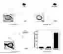 Fig. 06 - Cellular micromotors and uses thereof