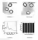 Fig. 07 - Cellular micromotors and uses thereof