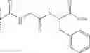 Fig. 24 - SUBSTITUTED ANIONIC COMPOUNDS CONSISTING OF A BACKBONE MADE UP OF A DISCRETE NUMBER OF SACCHARIDE UNITS