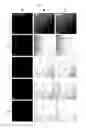 Fig. 04 - COMPOSITION FOR SKIN PENETRATION, CONTAINING CATIONIC MOLECULE TRANSPORTER AND ANIONIC BIOACTIVE MATERIAL
