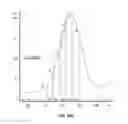 Fig. 30 - Anti-factor D antibody variant conjugates and uses thereof