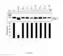 Fig. 19 - Modified human U1snRNA molecule, a gene encoding for the modified human U1snRNA molecule, an expression vector including the gene, and the use thereof in gene therapy of familial dysautonomia and spinal muscular atrophy