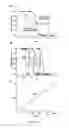 Fig. 08 - Library of pH responsive polymers and nanoprobes thereof