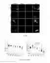 Fig. 100 - Library of pH responsive polymers and nanoprobes thereof