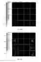 Fig. 102 - Library of pH responsive polymers and nanoprobes thereof