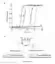 Fig. 40 - Library of pH responsive polymers and nanoprobes thereof
