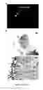 Fig. 44 - Library of pH responsive polymers and nanoprobes thereof