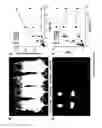 Fig. 49 - Library of pH responsive polymers and nanoprobes thereof