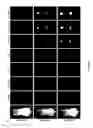 Fig. 50 - Library of pH responsive polymers and nanoprobes thereof