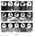 Fig. 58 - Library of pH responsive polymers and nanoprobes thereof