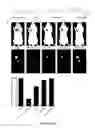 Fig. 60 - Library of pH responsive polymers and nanoprobes thereof