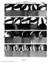 Fig. 62 - Library of pH responsive polymers and nanoprobes thereof