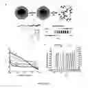 Fig. 63 - Library of pH responsive polymers and nanoprobes thereof