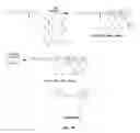 Fig. 64 - Library of pH responsive polymers and nanoprobes thereof