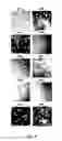 Fig. 65 - Library of pH responsive polymers and nanoprobes thereof