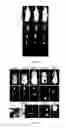 Fig. 80 - Library of pH responsive polymers and nanoprobes thereof