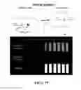 Fig. 82 - Library of pH responsive polymers and nanoprobes thereof