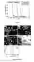 Fig. 96 - Library of pH responsive polymers and nanoprobes thereof