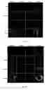 Fig. 98 - Library of pH responsive polymers and nanoprobes thereof