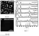 Fig. 02 - NANOPARTICLES AND METHODS OF MAKING