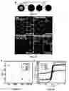 Fig. 06 - NANOPARTICLES AND METHODS OF MAKING