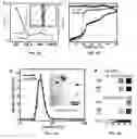 Fig. 07 - NANOPARTICLES AND METHODS OF MAKING