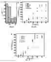 Fig. 08 - NANOPARTICLES AND METHODS OF MAKING