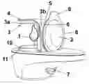 Fig. 01 - Volatile substance-evaporator device