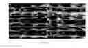 Fig. 06 - Multi-layered anti-adhesion device