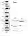 Fig. 04 - Coated surgical mesh, and corresponding systems and methods