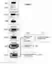 Fig. 05 - Coated surgical mesh, and corresponding systems and methods
