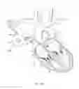 Fig. 11 - Devices, systems, and methods for facilitating flow from the heart to a blood pump