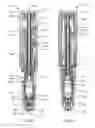 Fig. 06 - AUTOINJECTOR HAVING NEEDLE SHIELD TRIGGERING