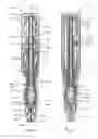 Fig. 09 - AUTOINJECTOR HAVING NEEDLE SHIELD TRIGGERING