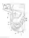 Fig. 20 - Dry powder dose container assemblies and related inhalers