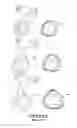 Fig. 02 - Breathing assistance apparatus