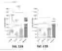 Fig. 18 - Systems and methods for treating dementia