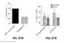 Fig. 68 - Systems and methods for treating dementia