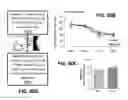 Fig. 81 - Systems and methods for treating dementia