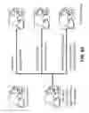 Fig. 85 - Systems and methods for treating dementia
