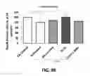 Fig. 99 - Systems and methods for treating dementia