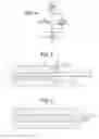 Fig. 04 - TRANSAORTIC VALVE ACCESS DEVICE