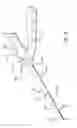 Fig. 30 - Telescopic percutaneous tissue dilation systems and related methods