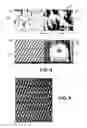 Fig. 05 - Composite microneedle array including nanostructures thereon