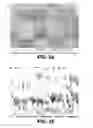 Fig. 20 - Composite microneedle array including nanostructures thereon