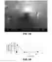 Fig. 22 - Composite microneedle array including nanostructures thereon