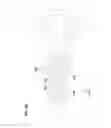 Fig. 26 - Aseptic coupling devices