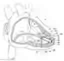 Fig. 01 - Delivery devices and methods for leadless cardiac devices