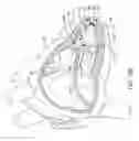 Fig. 15 - Delivery devices and methods for leadless cardiac devices